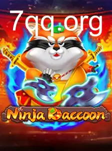 NinjaRaccoon
